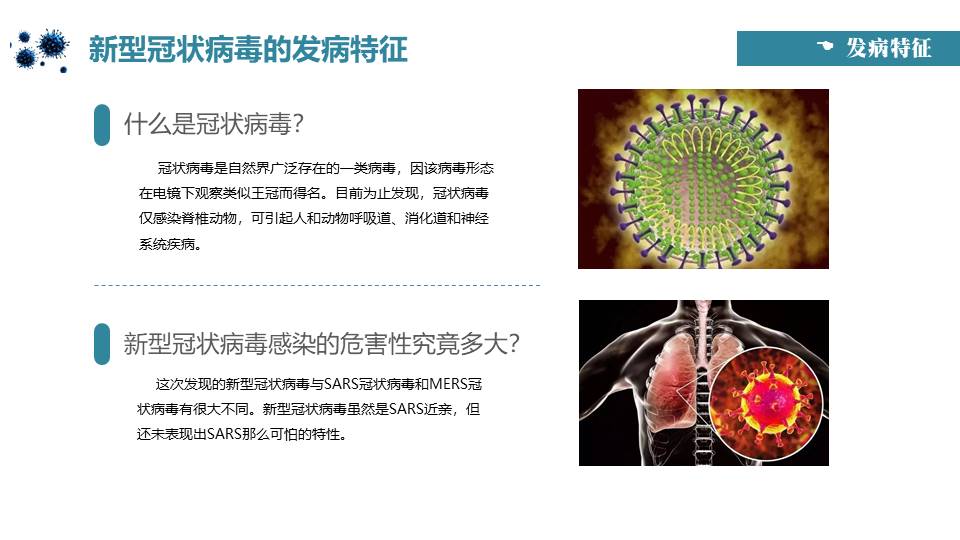 蓝色简约新型冠状病毒防控指南PT