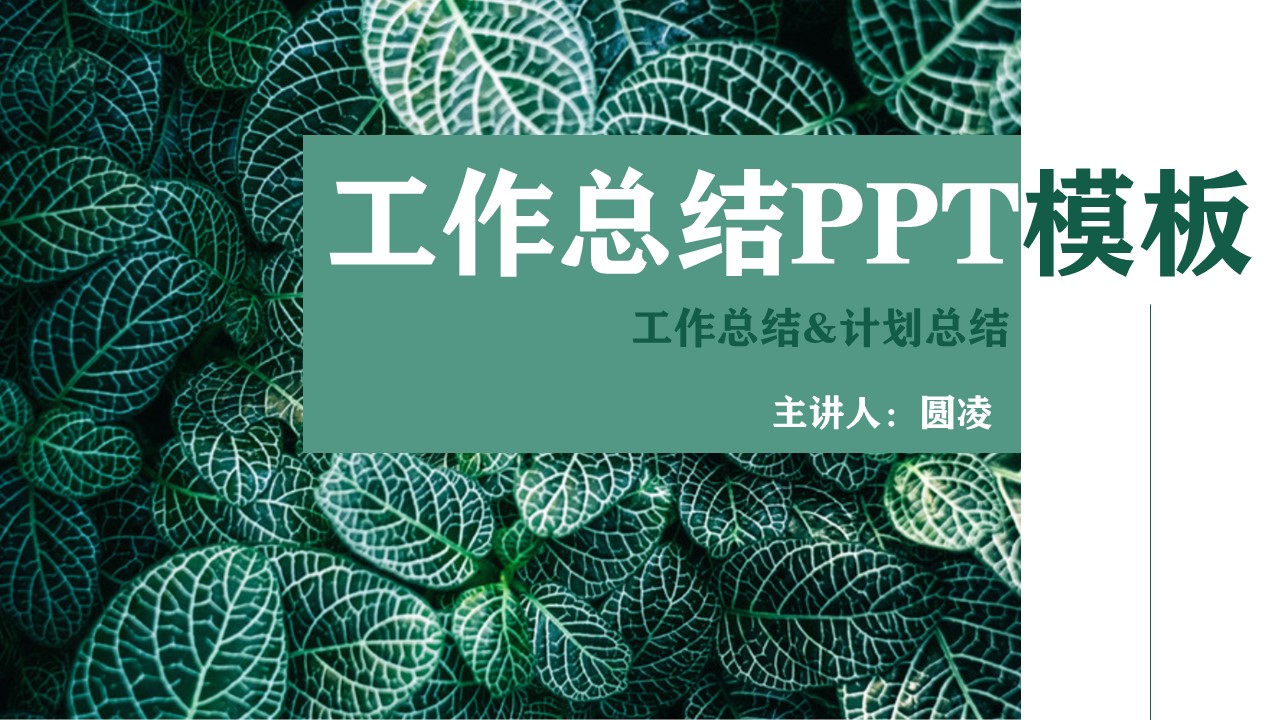 绿色植物工作总结PPT模板