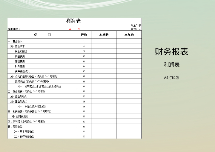 财务报表模板-A4打印版