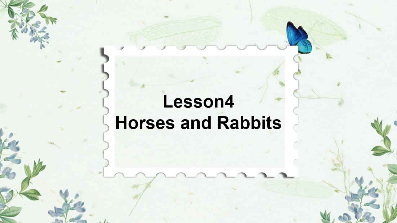 小学英语冀教版三年级下册《Lesson 4 Horses and