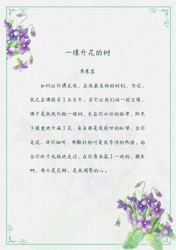 小清新紫色小花信纸